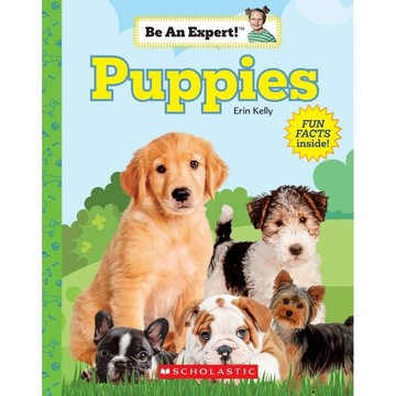 Be An Expert!: Puppies / Erin Kelly / Scholastic出版社旗艦店