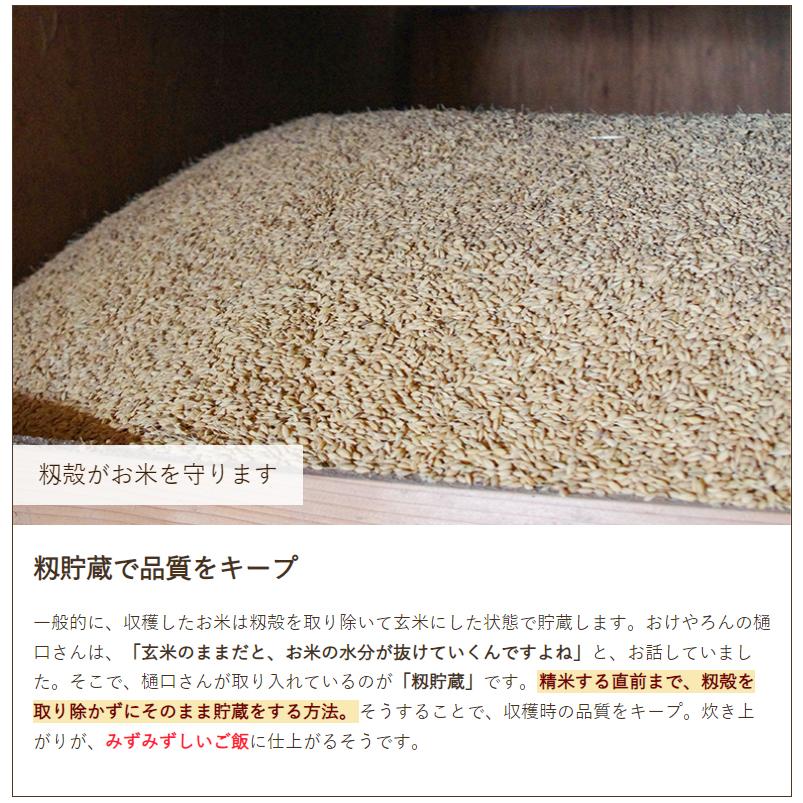 新潟県産コシヒカリ 玄米20kg（5kg×4袋） おけやろん 送料無料