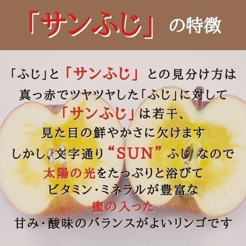  りんご サンふじ 最高級 L 5kg 箱（約18個入り） 産地直送 送料無料 12月上旬〜 順次発送 福島 りんご屋さとう