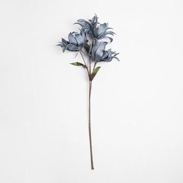 Flora芙蘿拉花插 鐵線蓮 藍