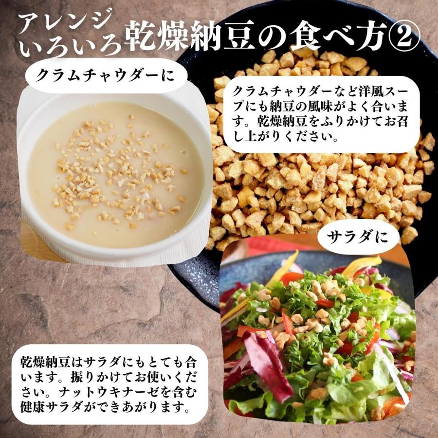 乾燥納豆 100g×3個 ドライ納豆 ひきわり納豆 無添加 犬 国産 送料無料