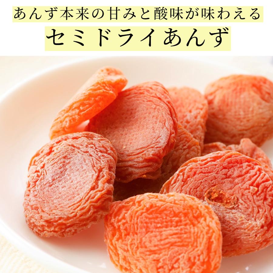 セミドライあんず (100g×1袋)