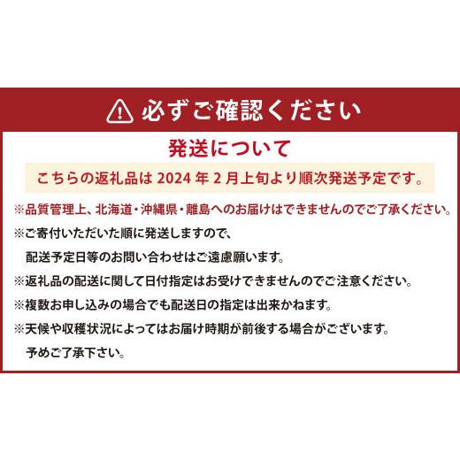 ふるさと納税 福岡県 遠賀町 大粒あまおう 約280g×4パック