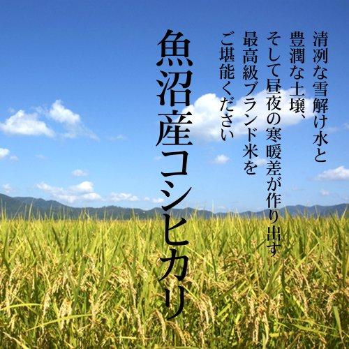 魚沼産 コシヒカリ 無洗米 ３キロ 新潟 魚沼産こしひかり 産地直送 お祝い、ギフト、贈答に ご自宅、ご家庭、お弁当にも 新米