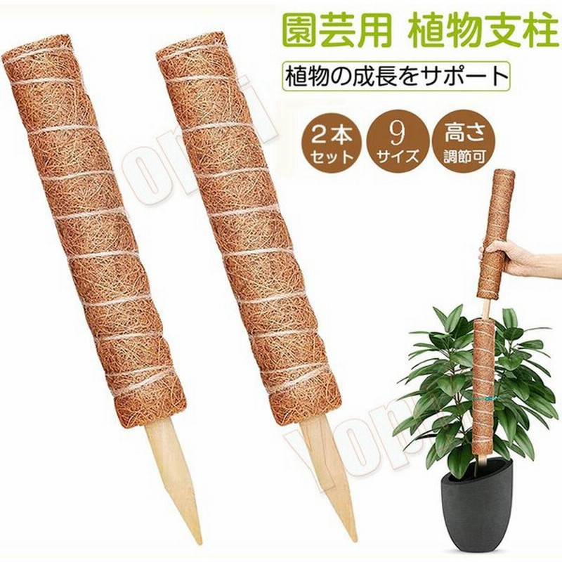 正規代理店 2点セット モンステラ 支柱 ココナッツ支柱 園芸 植物支柱 観葉支柱 ココナッツパームスティック 天然 ココナッツ 給水 フラワースタンド sarozambia.com 正規代理店 2点セット モンステラ 支柱 ココナッツ支柱 園芸 植物支柱 観葉支柱 ココナッツパームスティック 天然 ココナッツ 給水 フラワースタンド sarozambia.com