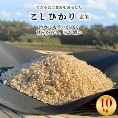 こしひかり玄米10kg