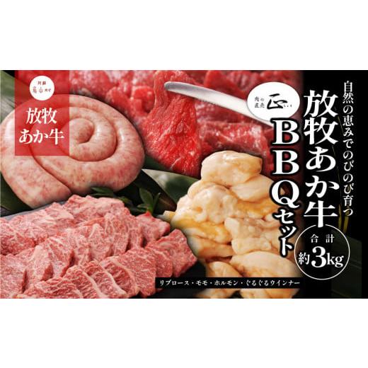 ふるさと納税 熊本県 産山村 阿蘇うぶやま村の放牧あか牛BBQセット