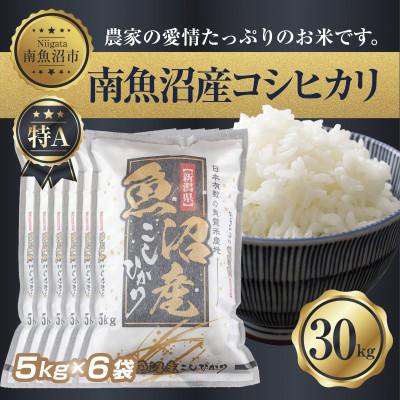 ふるさと納税 南魚沼市 南魚沼産 コシヒカリ 5kg×6 計 30kg(お米の美味しい炊き方ガイド付き)