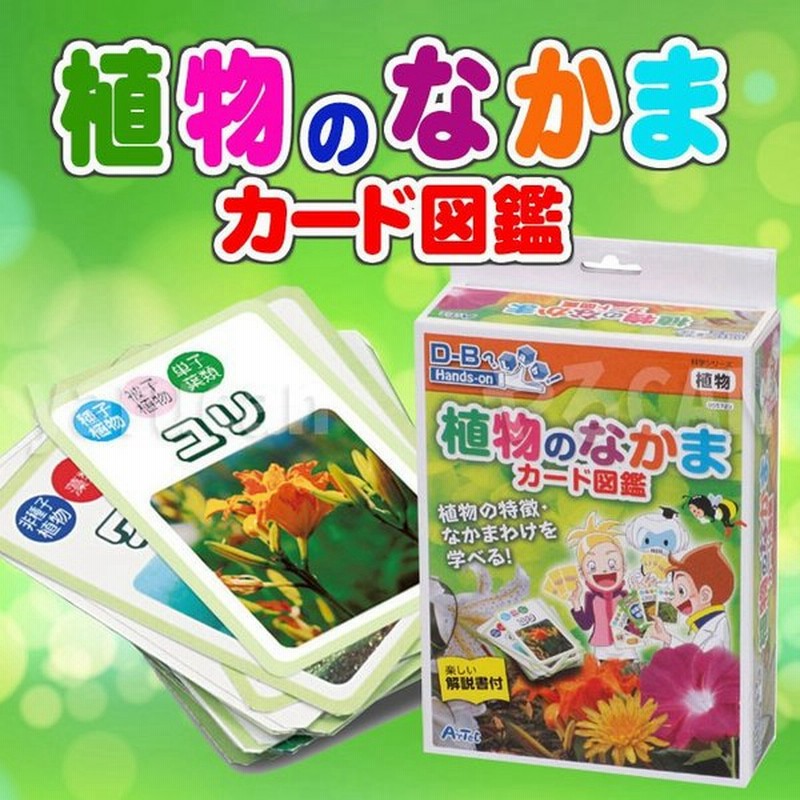 植物のなかまカード図鑑 カードゲーム 自由研究 夏休み 宿題 課題 研究 アーテック 通販 Lineポイント最大0 5 Get Lineショッピング