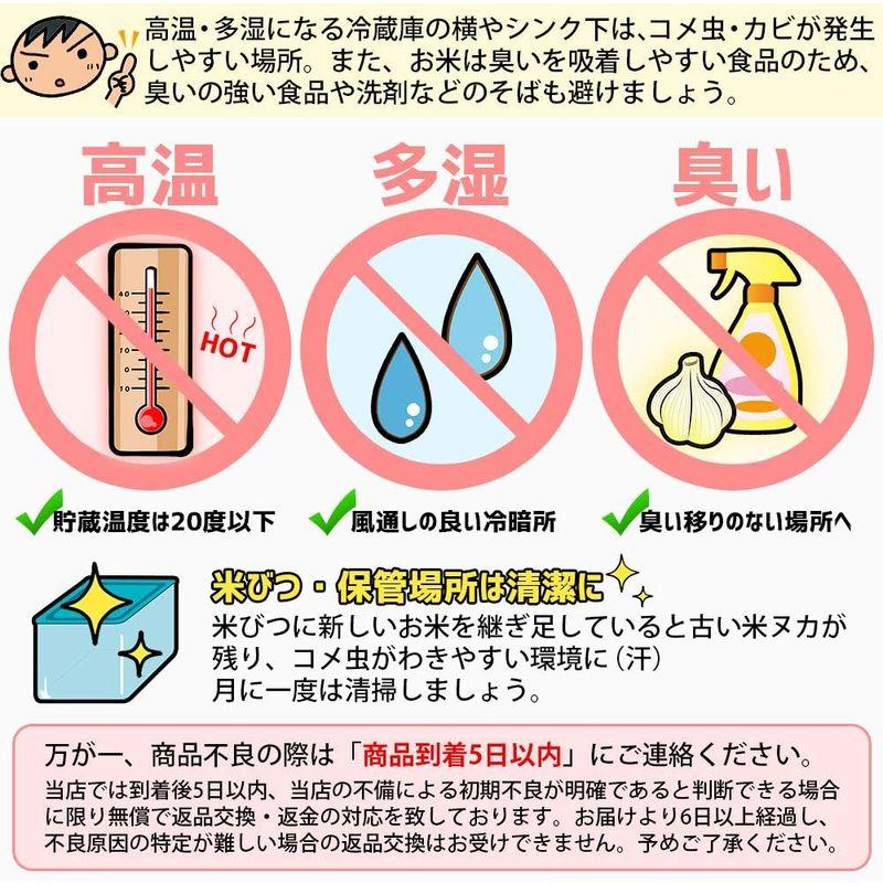 精米 白米 つや姫 10kg (5kgx2袋) 山形県産 令和4年産