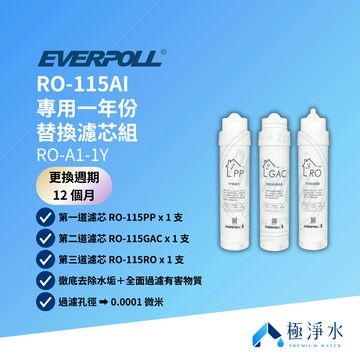 【EVERPOLL 愛科】RO-115AI 專用一年份替換濾芯組 RO-A1-1Y｜RO-115PP｜RO-115GAC