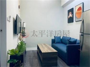 士林前港恩愛收租金雞母｜台北市士林區前港街
