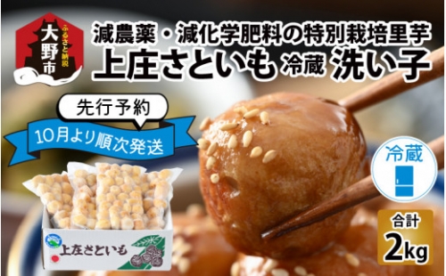 上庄さといも 洗い子 2kg（500g × 4袋）減農薬・減化学肥料の特別栽培里芋 農家直送 煮物に便利な小さめサイズ