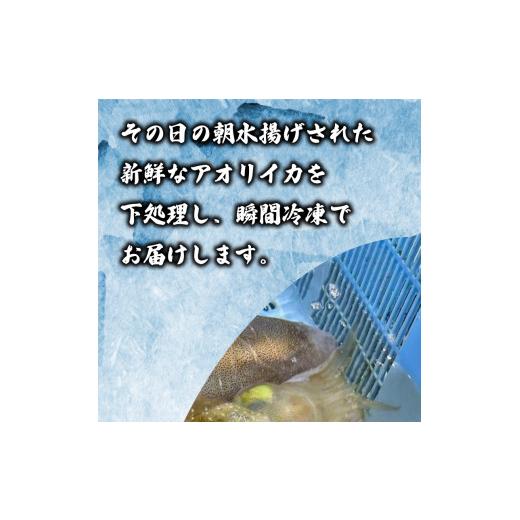 ふるさと納税 山口県 下関市 イカ 約1~1.2kg 冷凍 真空 下処理済み アオリイカ 刺身 天ぷら イカ焼き 烏賊 ゲソ 下関 唐戸市場 直送