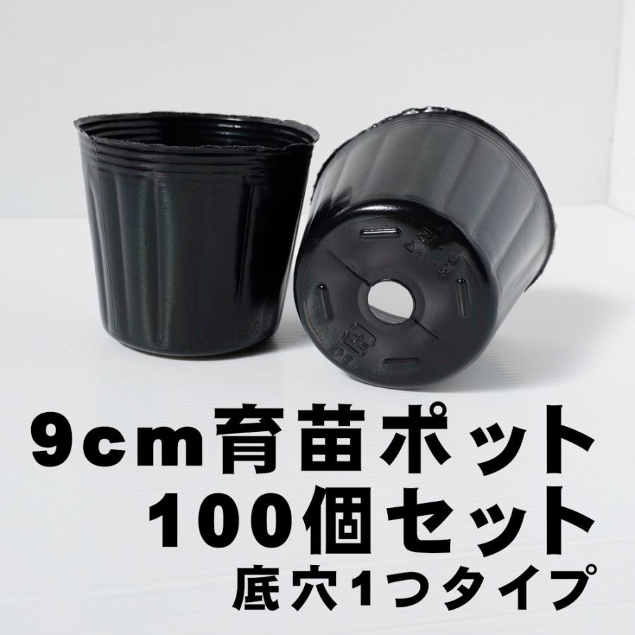 タネまき・育苗に「ノーマルポット  9cmサイズ100個セット」