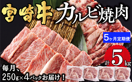  宮崎牛 カルビ 焼肉 1kg (250g×4) ×5回 合計5kg 小分け 牛肉 真空包装 バラ 冷凍 送料無料 国産 牛 肉 焼肉 牛肉 BBQ バーベキュー キャンプ カルビ丼 牛肉 定期便 普段使い 収納 牛肉 スペース すっきり 牛肉 毎月 お届け 牛肉 クッパ 牛肉 調理 料理 おかず 牛肉