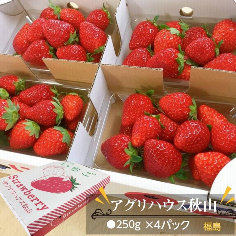 いちご 【アグリハウス秋山】 とちおとめ 250g×4パック 翌日配達