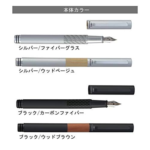 IWI 万年筆 極細字 エッセンシャル カーボンファイバー ブラック IWI-9S701FP-B0B