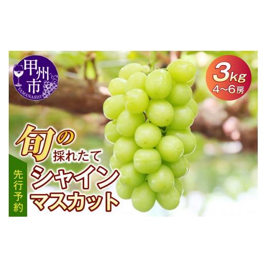 ふるさと納税 山梨県 甲州市 旬の採れたてシャインマスカット3.0kg（4房〜6房）(HO) C5-401