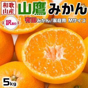 山鷹みかん 5kg 訳あり Mサイズ(有田みかん) 家庭用・傷ありお歳暮・お正月・クリスマスギフト