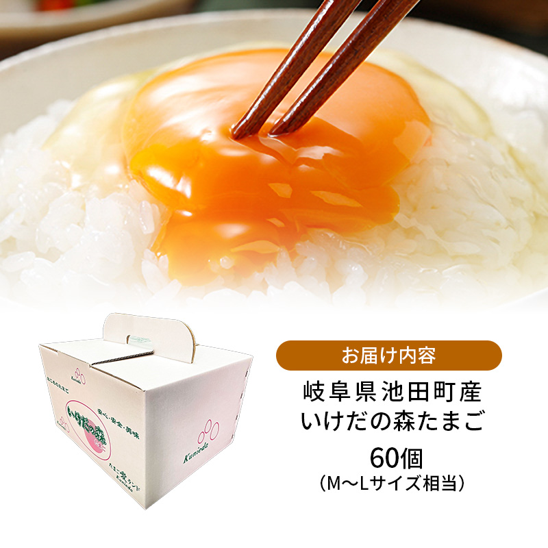 卵 わずか4%の希少な純国産鶏 いけだの森たまご 60個 こだわり おこめのたまご 玉子 鶏卵 生卵 産地直送 冷蔵配送 TKG 卵かけご飯 岐阜県産