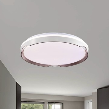 LED 48W 造型吸頂燈(附遙控)  F13-52-083-1