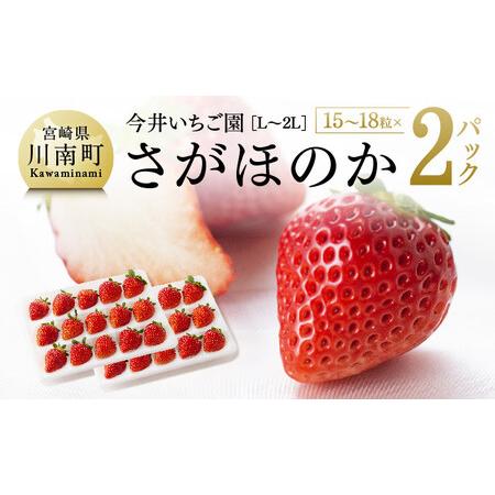 ふるさと納税 宮崎県産 いちご 『さがほのか』（Ｌ〜2Ｌ） 2パック  宮崎県川南町