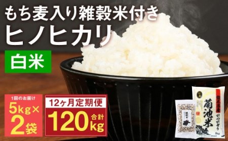 熊本県菊池産 ヒノヒカリ 精米 計120kg(10kg×12) もち麦入り雑穀米 計4.8kg(400g×12) 米 お米 低温保管 残留農薬ゼロ