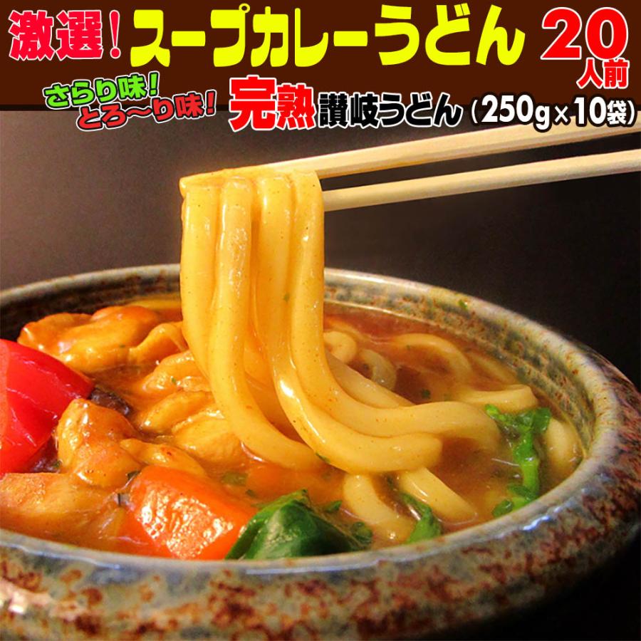 送料無料 うどん 激選スープカレーうどん20人前セット