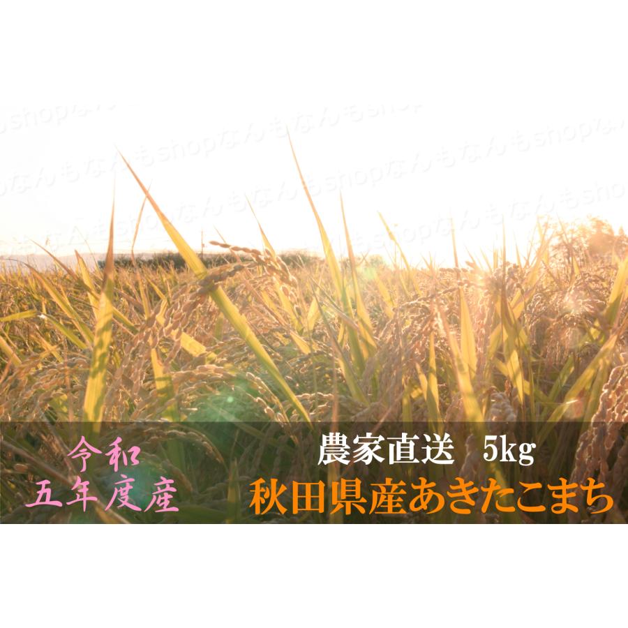 低農薬　白米　5kg　秋田県産　あきたこまち　農家直送　2023年産　2023年度産　令和5年産　令和5年度産　精米　精米度　分づき