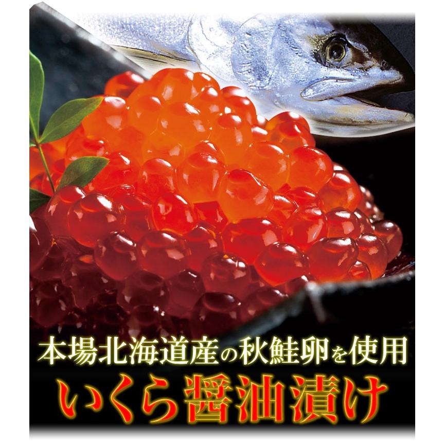 お一人様2コまで いくら イクラ 醤油漬け 500g 北海道産 大粒 鮭卵