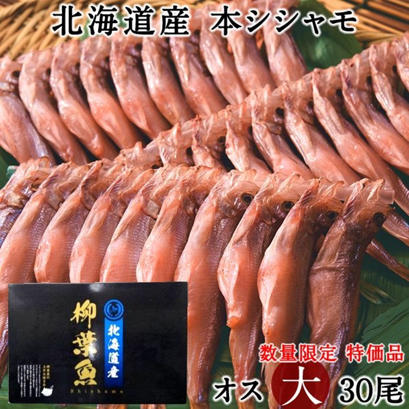 シシャモ オス 大 30尾 斉藤水産 本ししゃも生干し 干物 北海道産 鵡川産 むかわ産 日高産等 母の日 父の日 ギフト 通販 Lineポイント最大get Lineショッピング