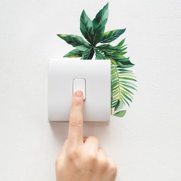 【MR.ZAKKA】創意萬用裝飾貼紙-植物主題 清新熱帶綠葉 居家節慶布置 DIY可移式壁貼 無痕壁貼 牆貼