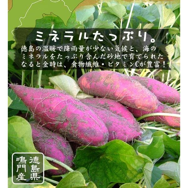 10％OFF！さつまいも なると金時 5kg 秀品 箱入 徳島県鳴門市大津町産 国産 野菜 送料無料