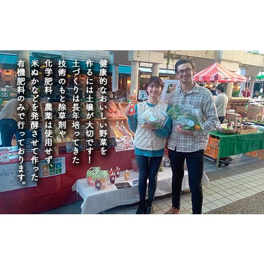 ふるさと納税 福島県 白河市 《有機JAS認証》オーガニック 季節のお野菜セット（大）定期便 6ヶ月連続 F21R-866