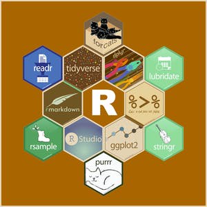 Expressway to Data Science: R Programming and Tidyverse
