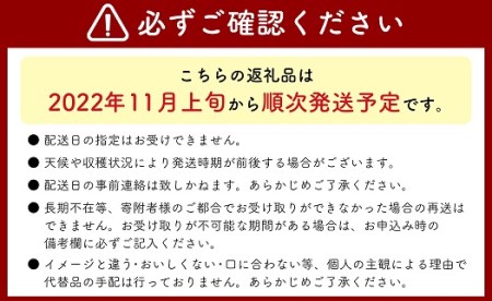 長野県中野市産 シャインマスカット 2房 1kg以上