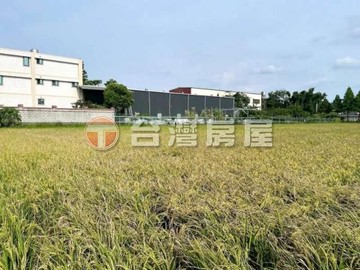 台31線楊湖路雙面路投資農地｜桃園市楊梅區楊湖段