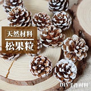 桌上擺飾 6入一組 天然乾燥松果粒 落葉松果 乾果 聖誕節 花圈 DIY材料 香薰蠟燭材料 玻璃罩花材