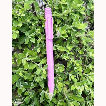 LAMY 2023 SAFARI special edition 原子筆 春日粉