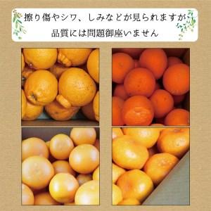 ふるさと納税 たっぷり届く♪訳ありみかんの定期便 和歌山県すさみ町