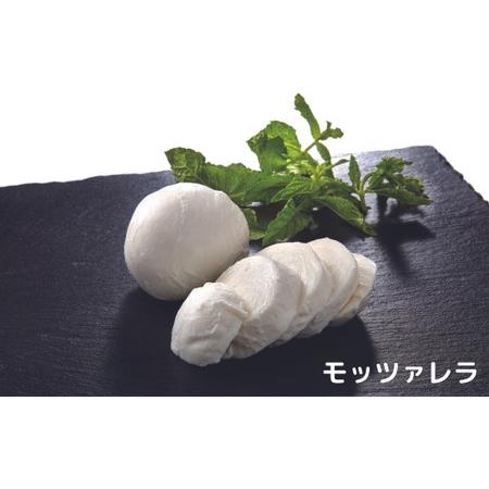 ふるさと納税 ひたちおおたチーズ工房　新鮮な市内産の生乳を使用したナチュラルチーズセット（4種）【チーズ ナチュラルチーズ 4種のチーズ.. 茨城県常陸太田市