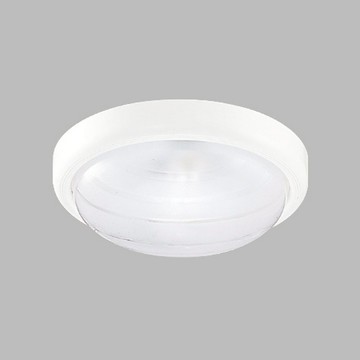 E27玻璃吸頂一燈 B250-53-12-391B