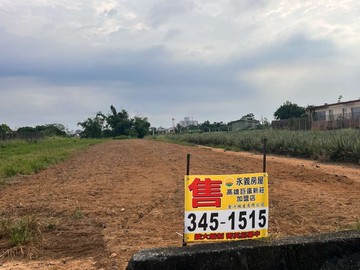 土地15-大樹坪頂段面寬臨路農地｜高雄市大樹區坪頂段