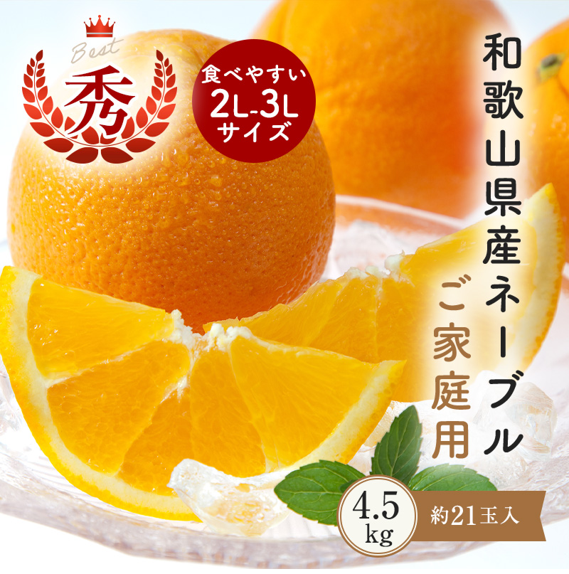 ご予約開始和歌山県産ネーブル オレンジ ご家庭用 約4.5kg （約21玉）2L～3Lサイズの秀品送料無料(北海道、沖縄を除く)減農薬で安心してお召し上がり頂けるネーブル 内祝 ギフト 2023年1月中旬以降の順（了承済み×(指定日不可)）