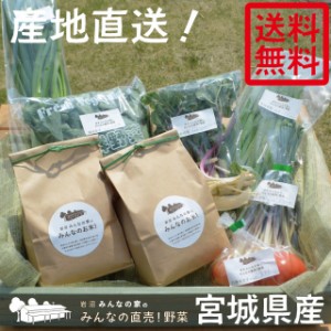 岩沼みんなの家のお米・野菜詰め合わせセット★お米2kg・直売野菜5～6種 箱いっぱい 詰め込み過ぎ 宮城 岩沼産