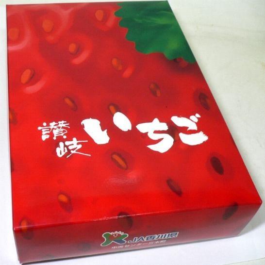 いちご さぬきひめ イチゴ 15個入り 化粧箱 香川産|苺 いちご ストロベリー プレゼント フルーツ ギフト 春ギフト プレゼント