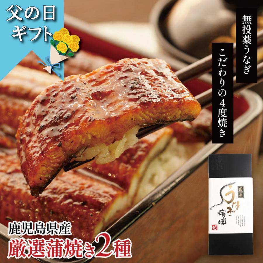 父の日 うなぎ プレゼント ギフト 国産 蒲焼き 2種セット ウナギ 化粧箱 鰻 70代 80代 60代 父の日