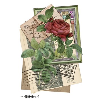 4款 - classic (honne market) blackraccoon