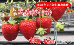 いちご 美味いちご園「さぬきひめ」さぬきひめ 400g 化粧箱 × 2箱 果物 フルーツ 